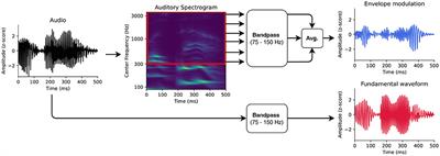 The neural response at the fundamental frequency of speech is modulated by word-level acoustic and linguistic information